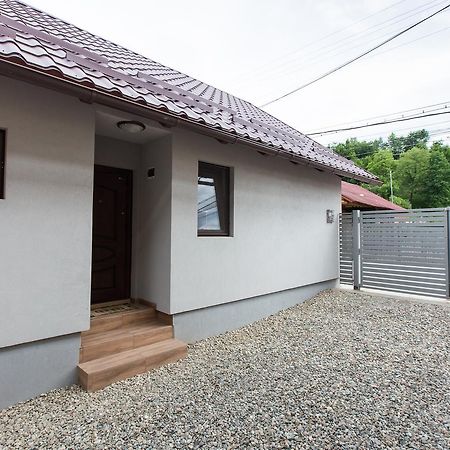 Casa Kis Villa Vişeu de Sus Eksteriør bilde